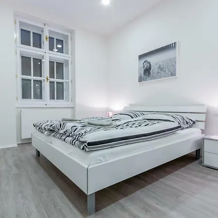 Apartment Susilova Brno