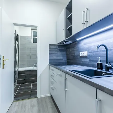 Apartment Susilova *
