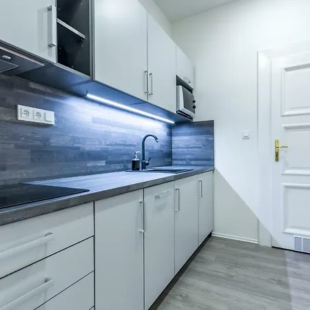 Susilova Apartment Brno